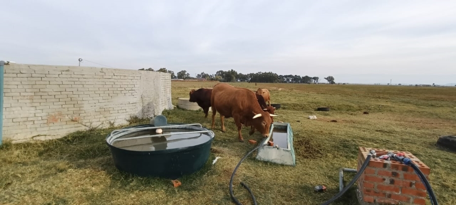 3 Bedroom Property for Sale in Bloemendal Free State